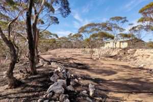 443 Dry Weather Road, SEDAN, SA 5353 AUS