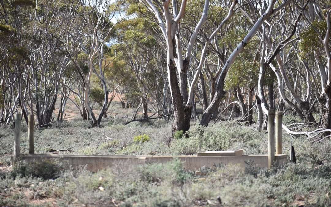 Section 36 Stonefield Road, BROWNLOW, SA 5374 AUS