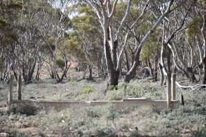 Section 36 Stonefield Road, BROWNLOW, SA 5374 AUS
