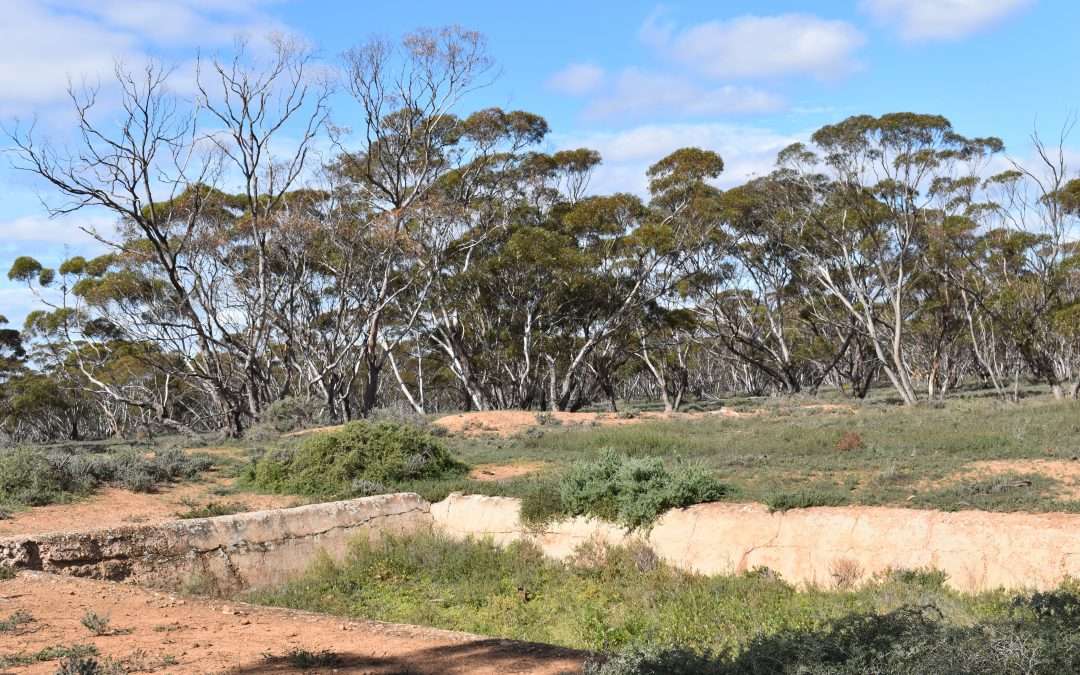 Section 36 Stonefield Road, BROWNLOW, SA 5374 AUS