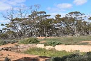 Section 36 Stonefield Road, BROWNLOW, SA 5374 AUS