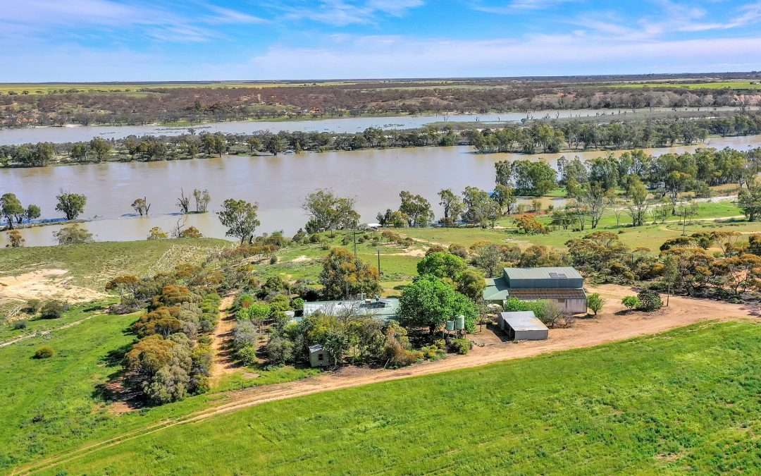 1249 Devlins Pound Road, POOGINOOK, SA 5330 AUS