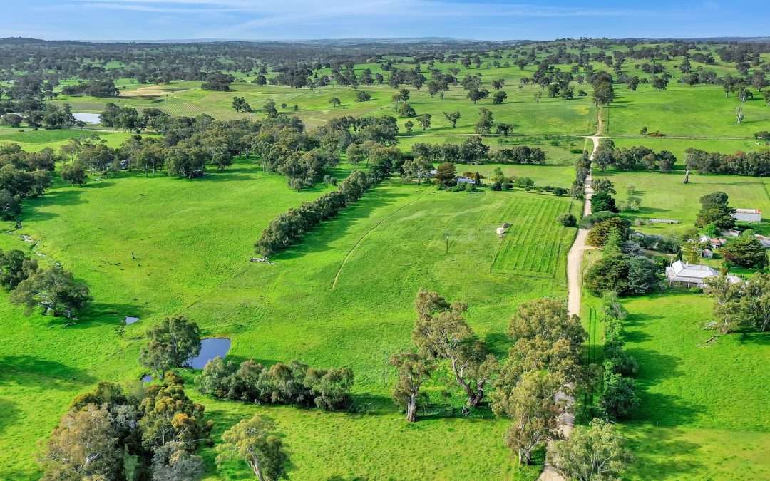 123 W Pumpas Road, FLAXMAN VALLEY, SA 5235 AUS