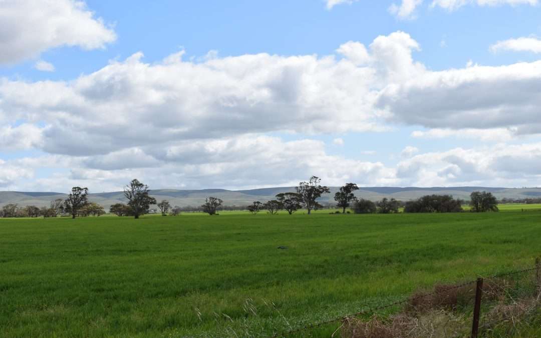Lot 749 Angaston Sedan Road, SEDAN, SA 5353 AUS