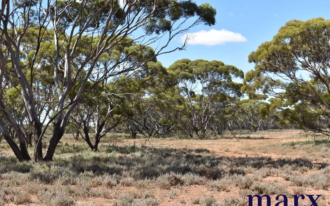 Sec 290 Angle Road, SUTHERLANDS, SA 5374 AUS