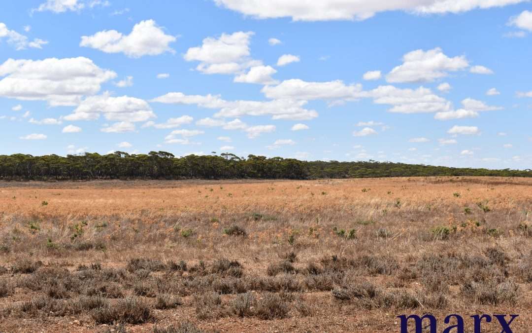 Sec 290 Angle Road, SUTHERLANDS, SA 5374 AUS