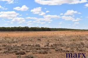 Sec 290 Angle Road, SUTHERLANDS, SA 5374 AUS