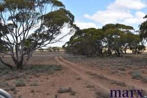 Sec 290 Angle Road, SUTHERLANDS, SA 5374 AUS