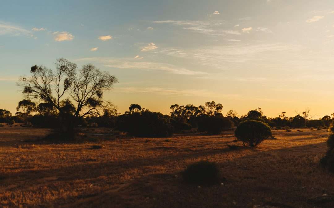 281 Hankel Road, SANDLETON, SA 5356 AUS