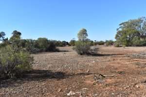 281 Hankel Road, SANDLETON, SA 5356 AUS