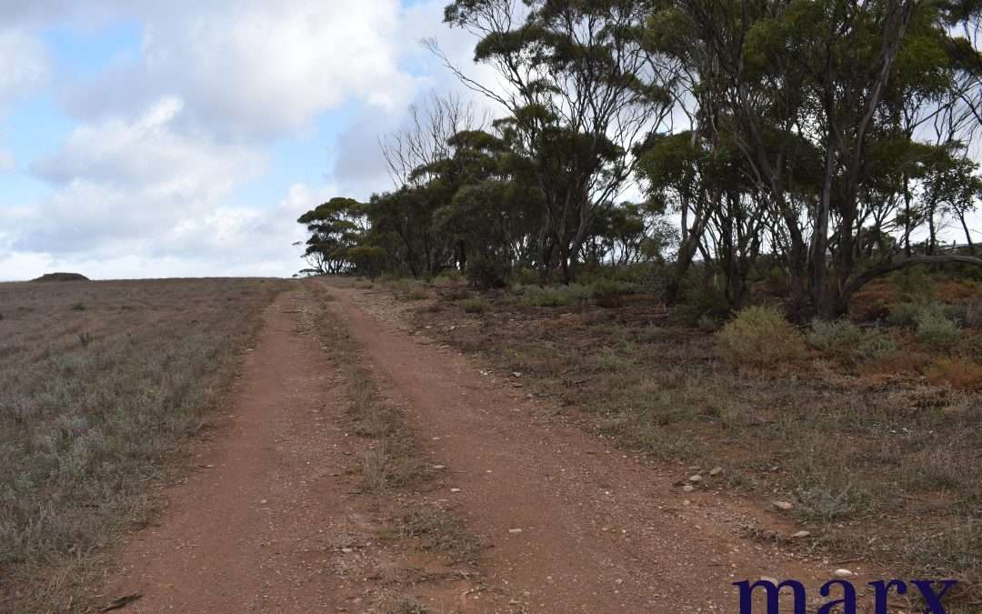 Sec 428 Sutherlands Road, SUTHERLANDS, SA 5374 AUS