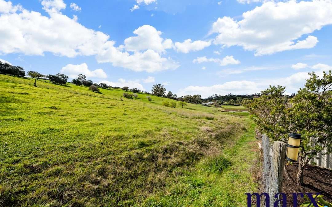 9 Le Page Lane, ANGASTON, SA 5353 AUS