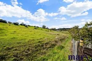 9 Le Page Lane, ANGASTON, SA 5353 AUS
