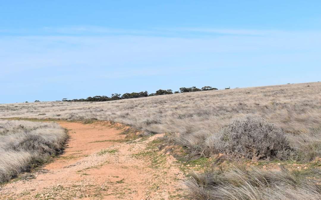 Sec 35 Brownlow Road, BROWNLOW, SA 5374 AUS