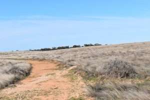 Sec 35 Brownlow Road, BROWNLOW, SA 5374 AUS