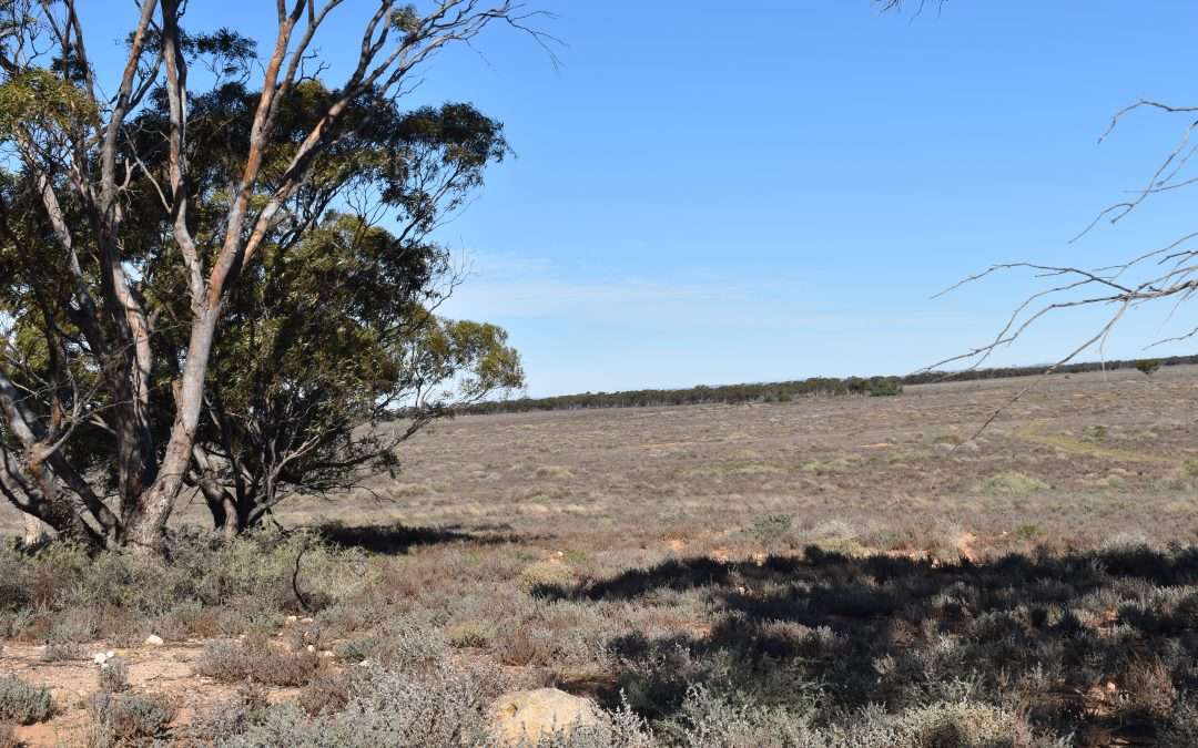 Sec 35 Brownlow Road, BROWNLOW, SA 5374 AUS