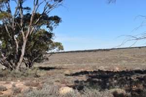 Sec 35 Brownlow Road, BROWNLOW, SA 5374 AUS