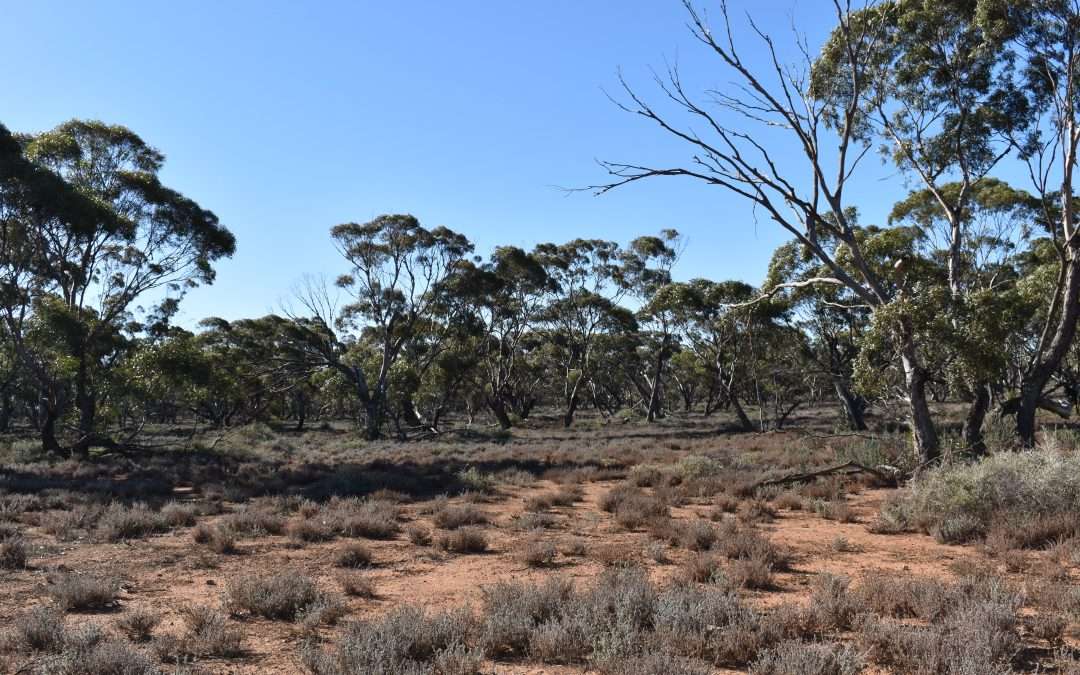 Sec 35 Brownlow Road, BROWNLOW, SA 5374 AUS