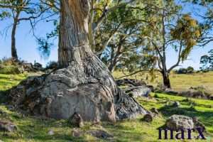 75 Trig Point Hill Road, ANGASTON, SA 5353 AUS