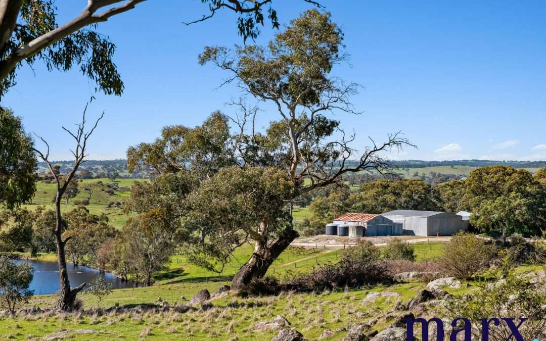 75 Trig Point Hill Road, ANGASTON, SA 5353 AUS