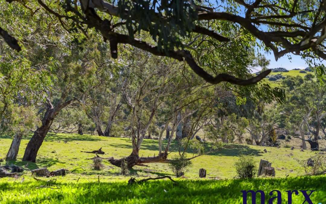 75 Trig Point Hill Road, ANGASTON, SA 5353 AUS