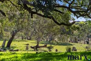 75 Trig Point Hill Road, ANGASTON, SA 5353 AUS