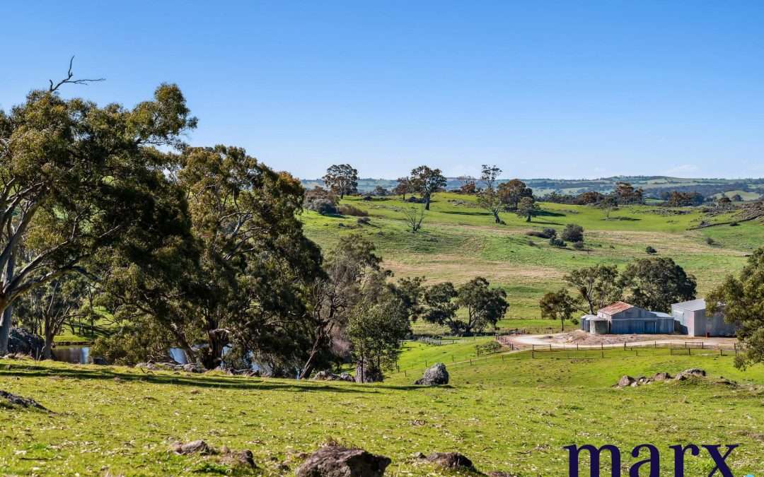 75 Trig Point Hill Road, ANGASTON, SA 5353 AUS
