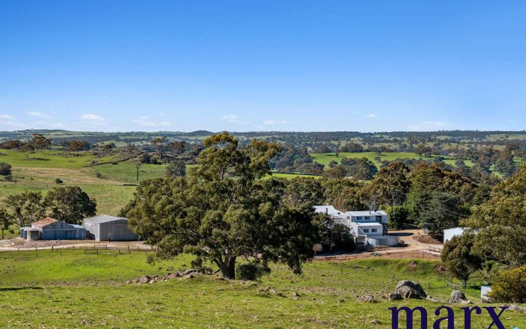 75 Trig Point Hill Road, ANGASTON, SA 5353 AUS