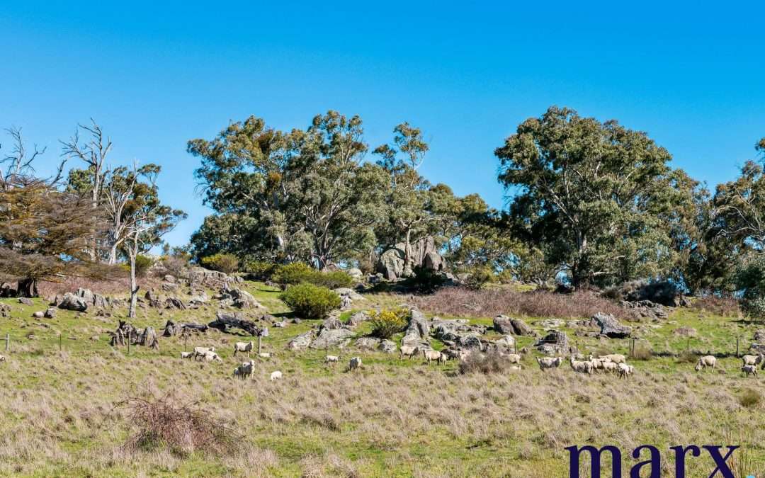 75 Trig Point Hill Road, ANGASTON, SA 5353 AUS