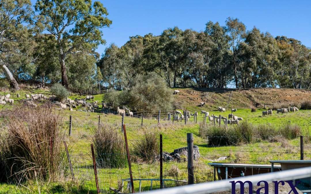 75 Trig Point Hill Road, ANGASTON, SA 5353 AUS