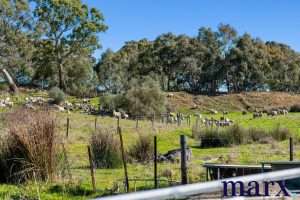 75 Trig Point Hill Road, ANGASTON, SA 5353 AUS