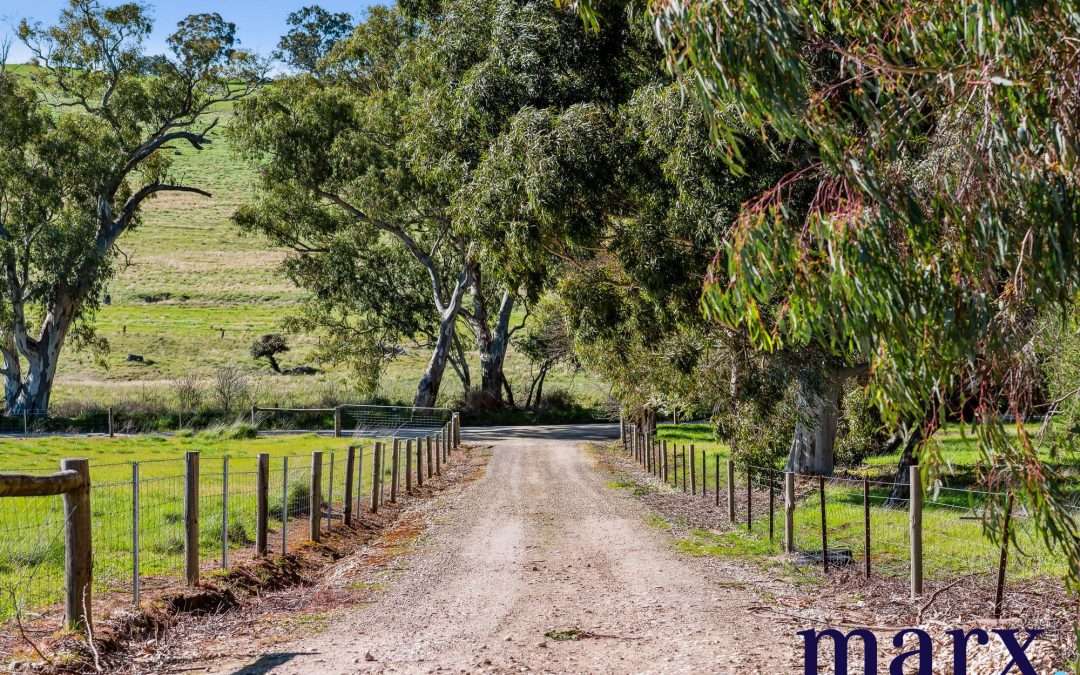 75 Trig Point Hill Road, ANGASTON, SA 5353 AUS
