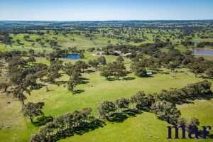 75 Trig Point Hill Road, ANGASTON, SA 5353 AUS