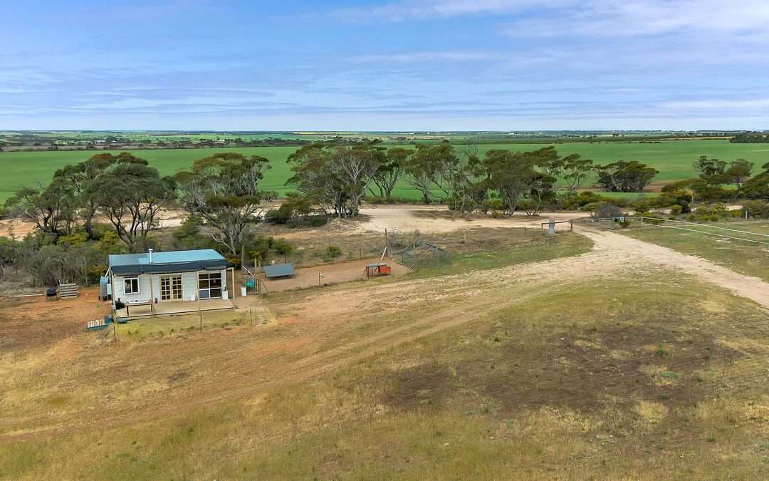 136 Pine Crest Road, CAMBRAI, SA 5353 AUS