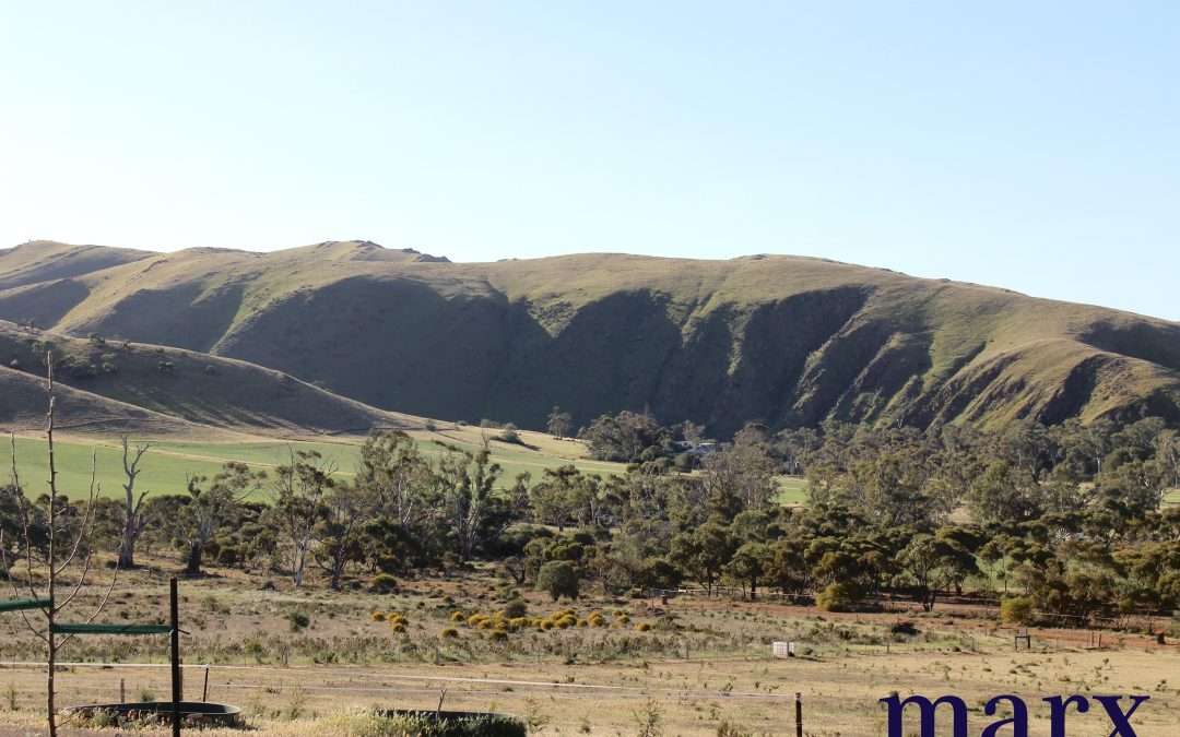 136 Pine Crest Road, CAMBRAI, SA 5353 AUS