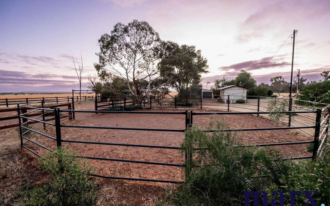 2152 Three Chain Road, SEDAN, SA 5353 AUS