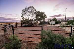 2152 Three Chain Road, SEDAN, SA 5353 AUS