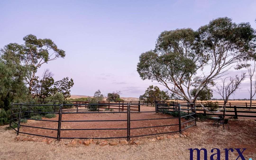 2152 Three Chain Road, SEDAN, SA 5353 AUS
