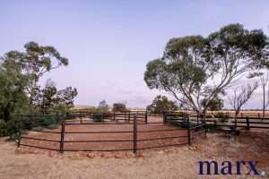2152 Three Chain Road, SEDAN, SA 5353 AUS
