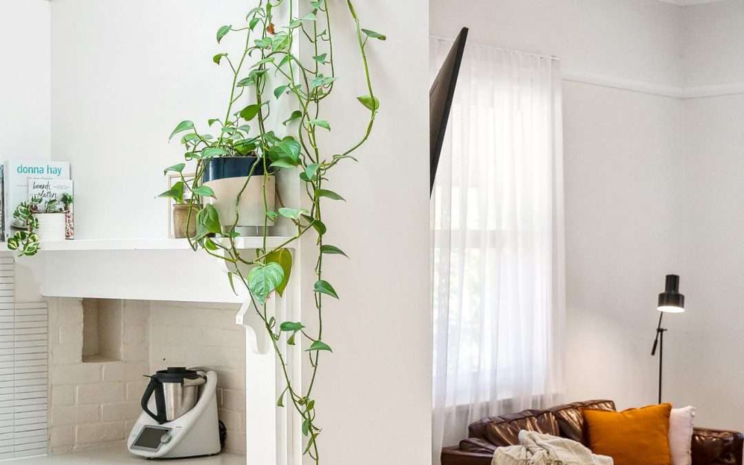 2 Gawler Park Road, ANGASTON, SA 5353 AUS