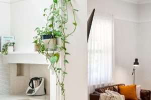 2 Gawler Park Road, ANGASTON, SA 5353 AUS