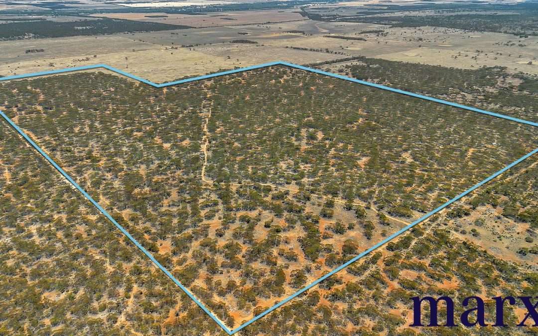 Lot 10 W.Falkenbergs Road, SEDAN, SA 5353 AUS