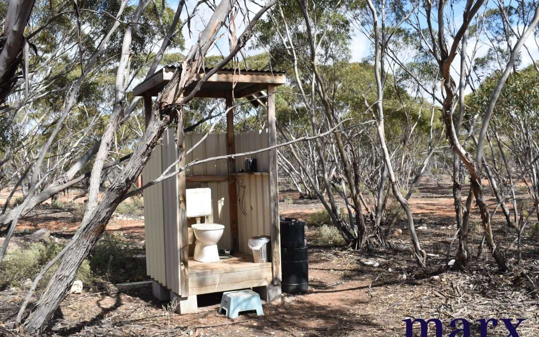 Lot 10 W.Falkenbergs Road, SEDAN, SA 5353 AUS