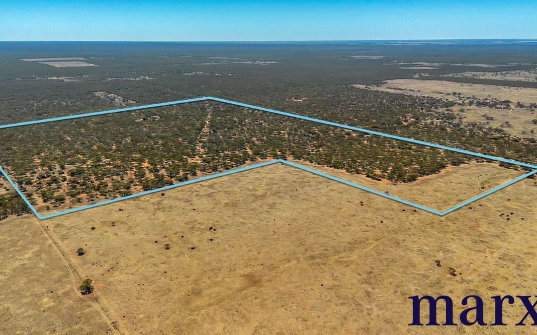 Lot 10 W.Falkenbergs Road, SEDAN, SA 5353 AUS