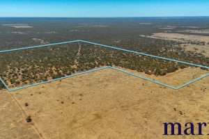 Lot 10 W.Falkenbergs Road, SEDAN, SA 5353 AUS