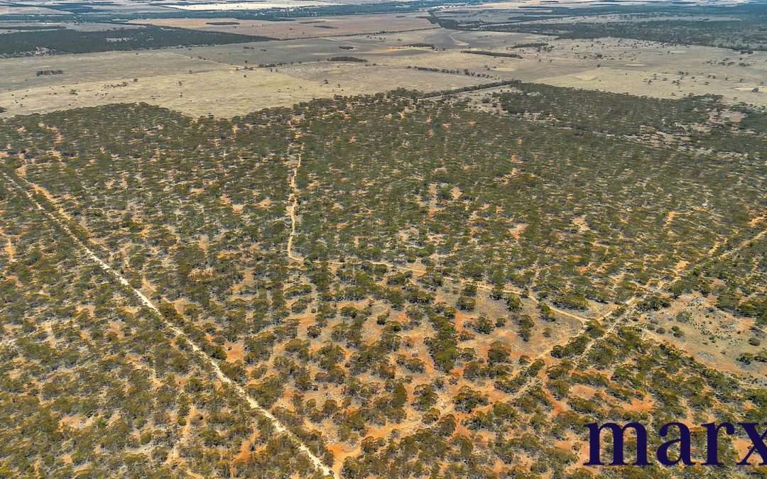 Lot 10 W.Falkenbergs Road, SEDAN, SA 5353 AUS