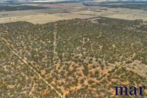 Lot 10 W.Falkenbergs Road, SEDAN, SA 5353 AUS