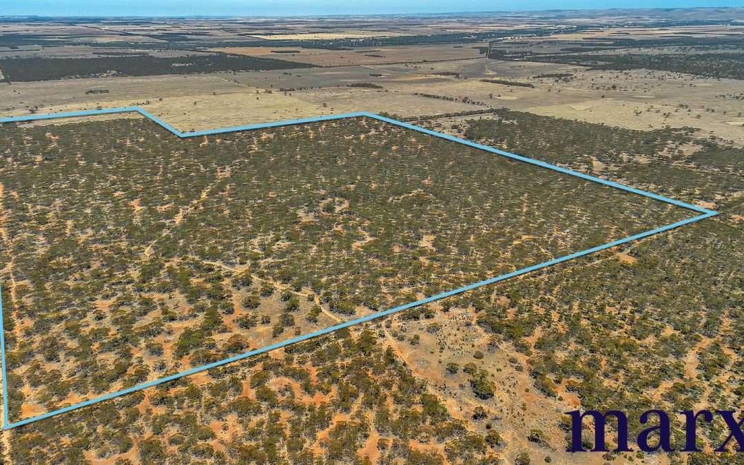 Lot 10 W.Falkenbergs Road, SEDAN, SA 5353 AUS
