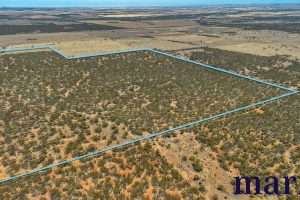 Lot 10 W.Falkenbergs Road, SEDAN, SA 5353 AUS