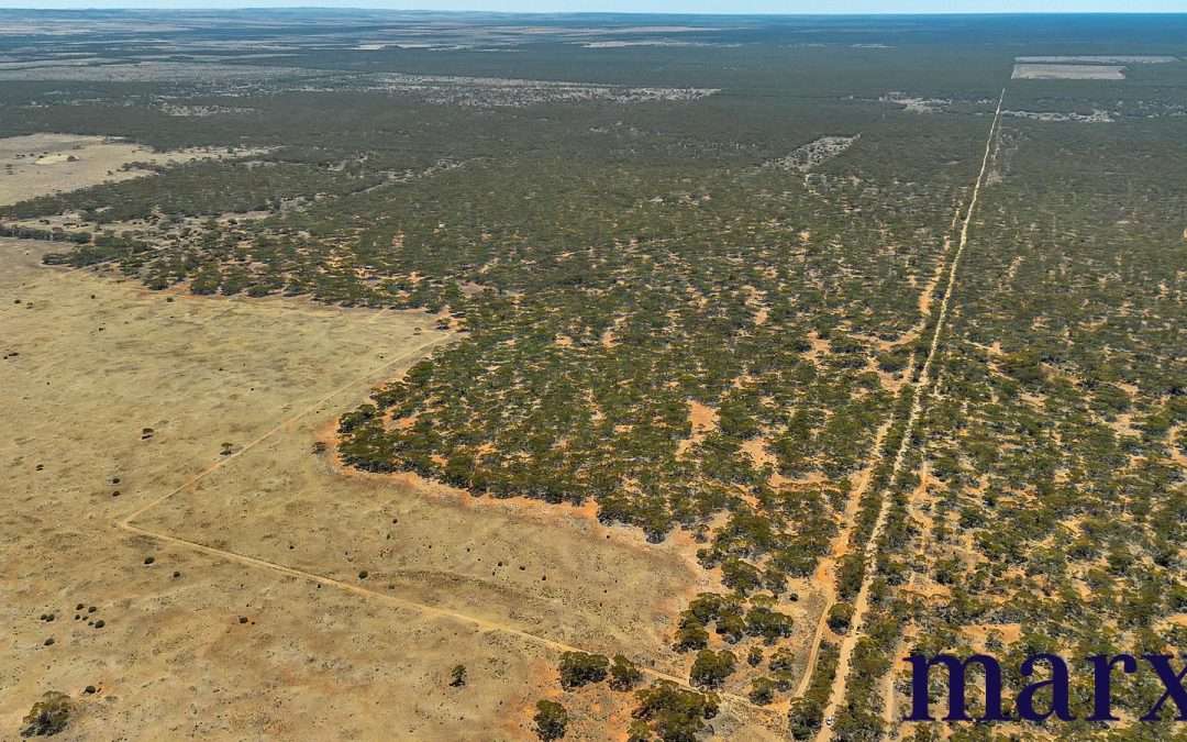 Lot 10 W.Falkenbergs Road, SEDAN, SA 5353 AUS